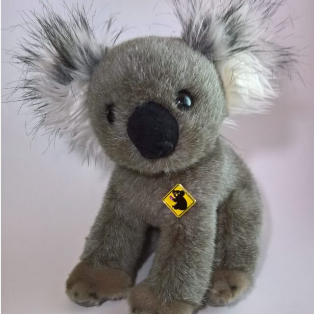 Injured koala pin